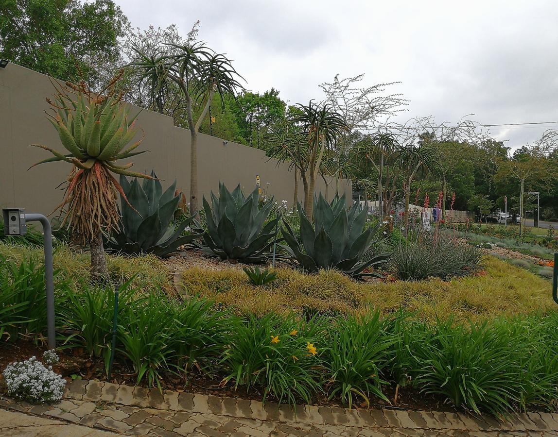 At 98 On Lynburn Guest House Pretoria-Noord Esterno foto